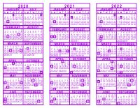 Purple 3 Year Calendar - 2020 - 2021 - 2022