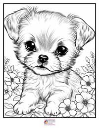 Animals Coloring Pages 19B