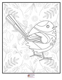 Birds Coloring Pages 6B