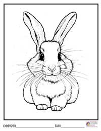 Bunny Coloring Pages 11 - Colored By