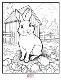 Bunny Coloring Pages 17B
