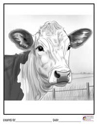 Cow Coloring Pages 13 - Colored By