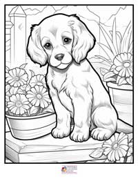Dogs Coloring Pages 7B
