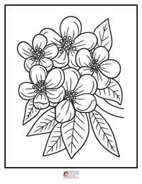 Flowers Coloring Pages 15B