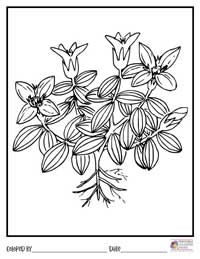 Flowers Coloring Pages 5 - Colored By