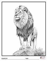 Lion Coloring Pages 4 - Colored By