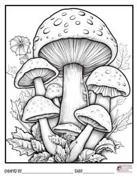 Mushrooms Coloring Pages 16 - Colored By