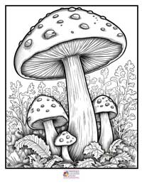Mushrooms Coloring Pages 19B