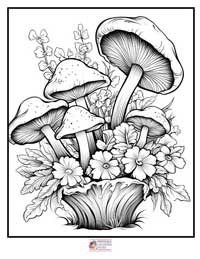 Mushrooms Coloring Pages 5B