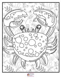 Ocean Coloring Pages 10B