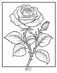 Rose Coloring Pages 18B