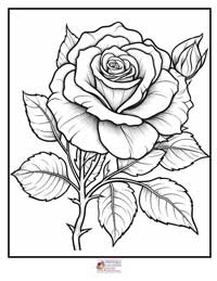 Rose Coloring Pages 19B