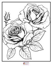Rose Coloring Pages 3B