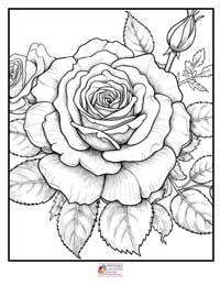 Rose Coloring Pages 4B