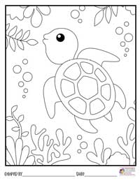 Turtle Coloring Pages 1 - Colored By