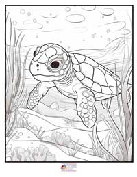 Turtle Coloring Pages 9B