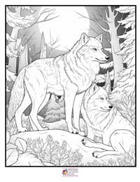 Wolves Coloring Pages 11B