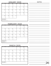 2029 - 3 Month Calendar