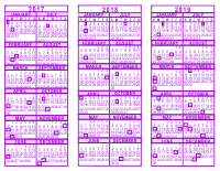 Purple 3 Year Calendar - 2017 - 2018 - 2019
