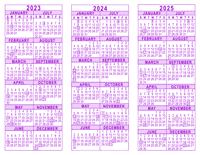 Purple 3 Year Calendar - 2023 - 2024 - 2025