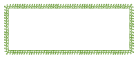 Avacado Green Doodle Border - Third Sheet Size
