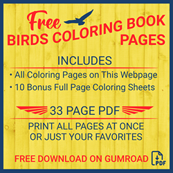 Free Birds PDF Coloring Book for Adults