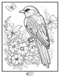 Birds Coloring Pages for Adults and Teens
