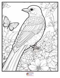 Birds
 Coloring Pages for Adults 10B