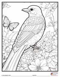 Birds
 Coloring Pages for Adults 10 - Colored By