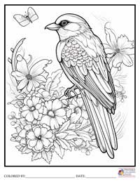 Birds
 Coloring Pages for Adults 1 - Colored By