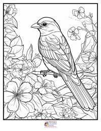 Birds
 Coloring Pages for Adults 2B