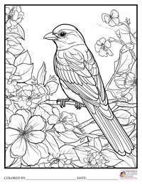 Birds
 Coloring Pages for Adults 2 - Colored By