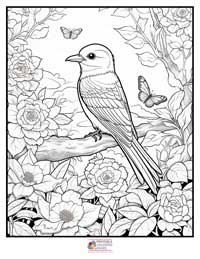 Birds
 Coloring Pages for Adults 3B