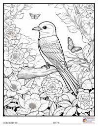 Birds
 Coloring Pages for Adults 3 - Colored By