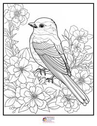 Birds
 Coloring Pages for Adults 4B