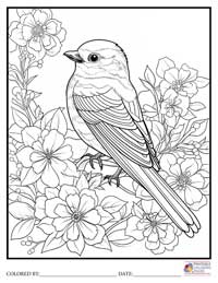 Birds
 Coloring Pages for Adults 4 - Colored By