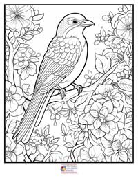Birds
 Coloring Pages for Adults 5B