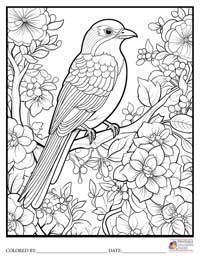 Birds
 Coloring Pages for Adults 5 - Colored By