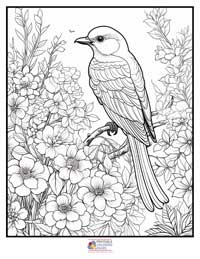 Birds
 Coloring Pages for Adults 6B