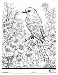 Birds
 Coloring Pages for Adults 6 - Colored By