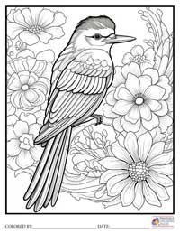 Birds
 Coloring Pages for Adults 7 - Colored By