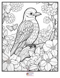 Birds
 Coloring Pages for Adults 8B