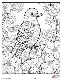Birds
 Coloring Pages for Adults 8 - Colored By