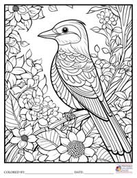 Birds
 Coloring Pages for Adults 9 - Colored By