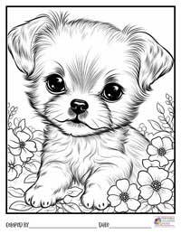 Animals Coloring Pages 19 - Colored By