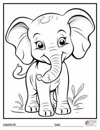 Animals Coloring Pages 3 - Colored By