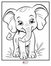 Animals Coloring Pages 3B
