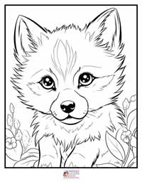 Animals Coloring Pages 7B