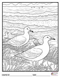 Beach Coloring Pages 6 - Colored By