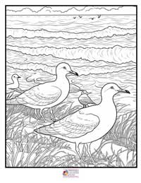Beach Coloring Pages 6B